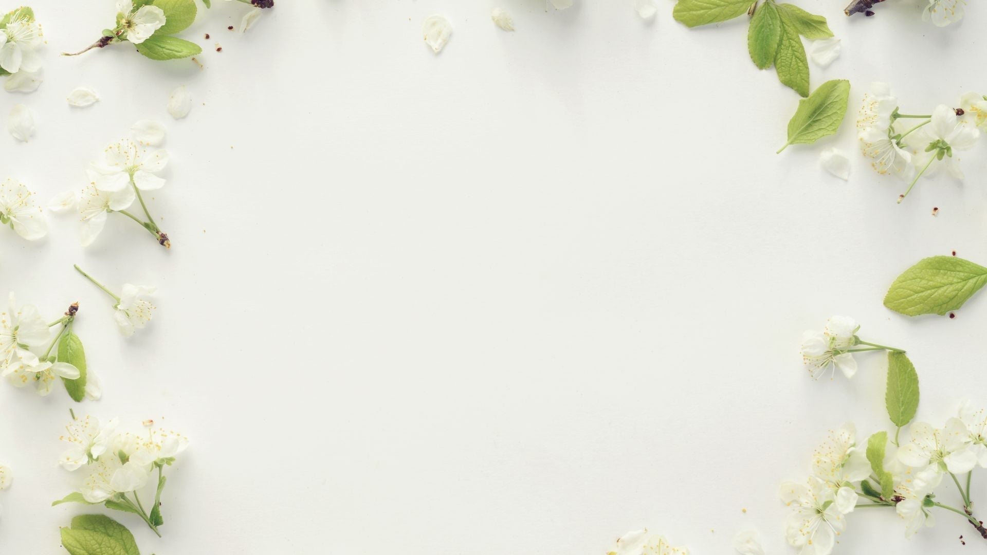 Why are MVHR filters important?