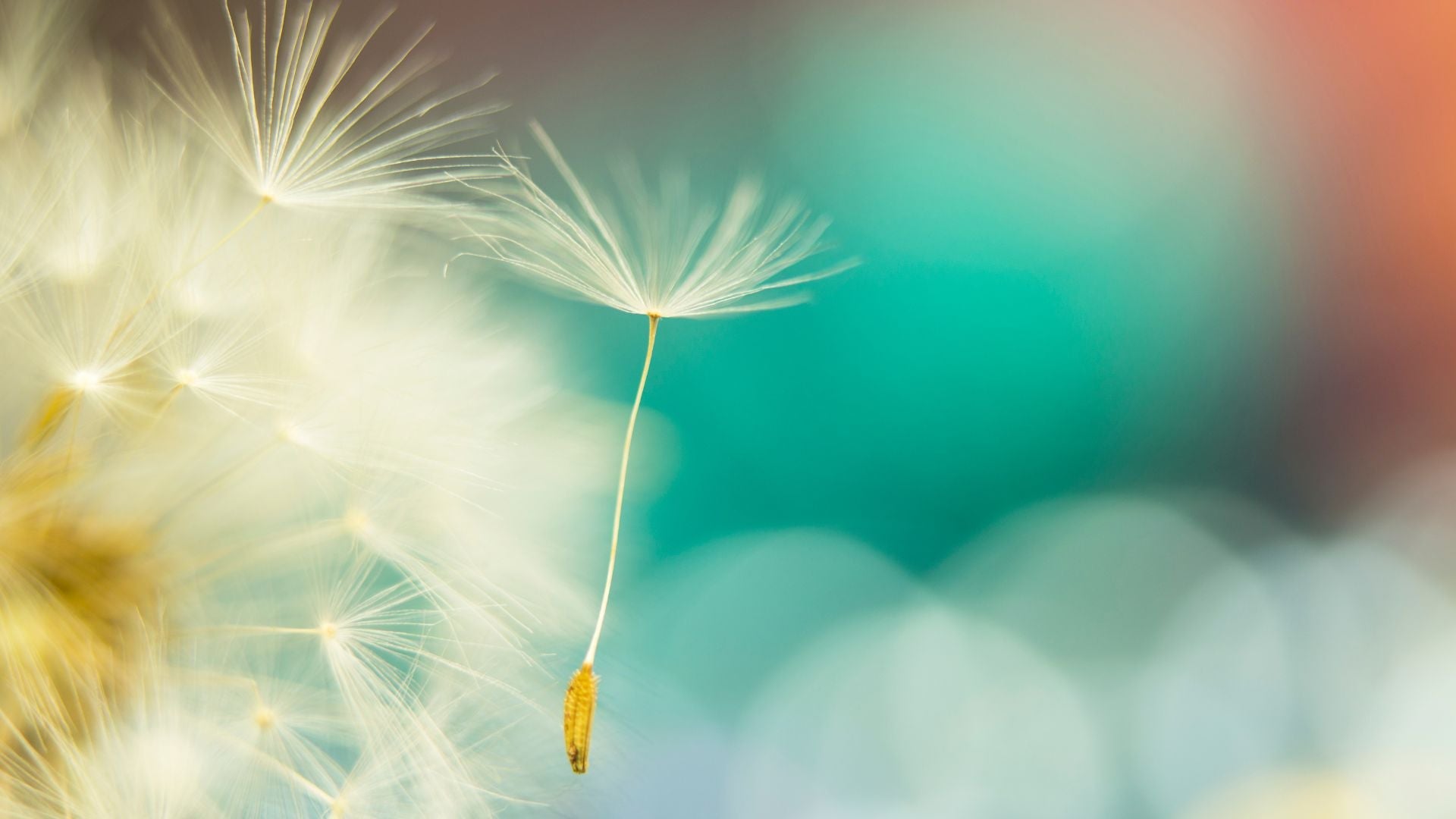 The essential checklist you need when your MVHR installation is complete