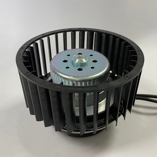 Titon XP40161/099 - Motor