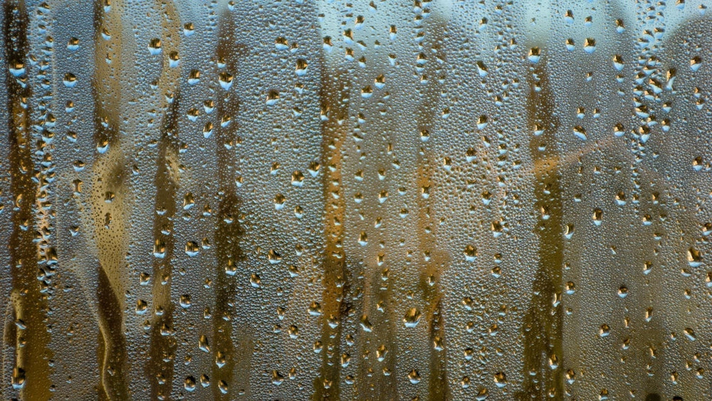 Condensation Issues Condensation and Mould Issues: Causes, Fixes and Prevention