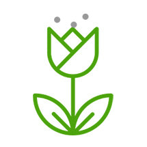Air Purifiers for Allergy Alleviation