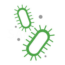 Air Purifiers to Combat Bacterial & Viral Concerns