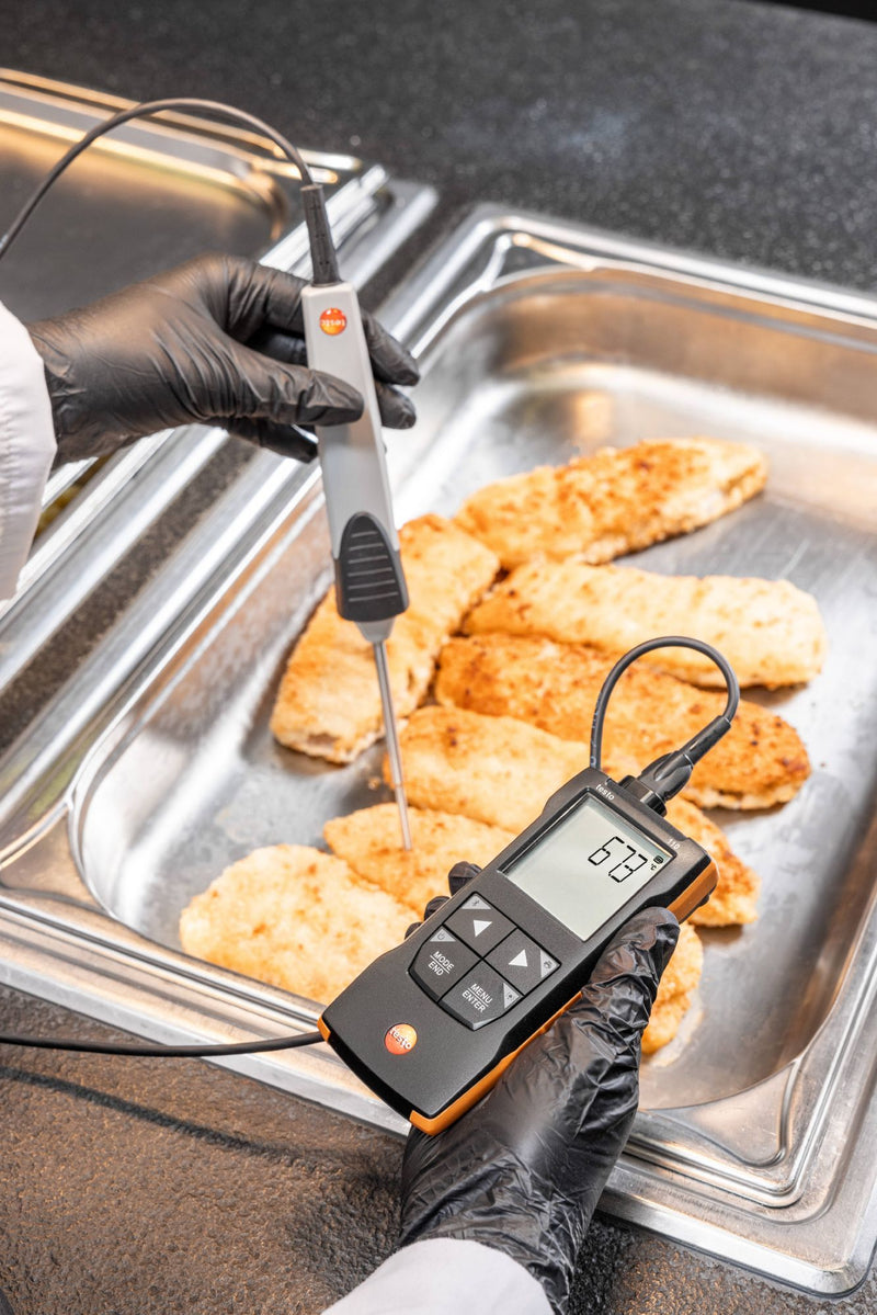 Testo 110 -  NTC and Pt100 temperature measuring instrument with App connection